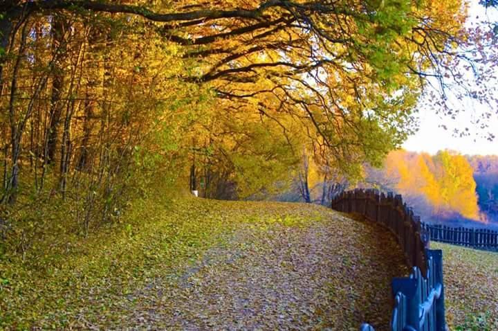 Отель Dykyi Khutir Melniki  Экстерьер фото